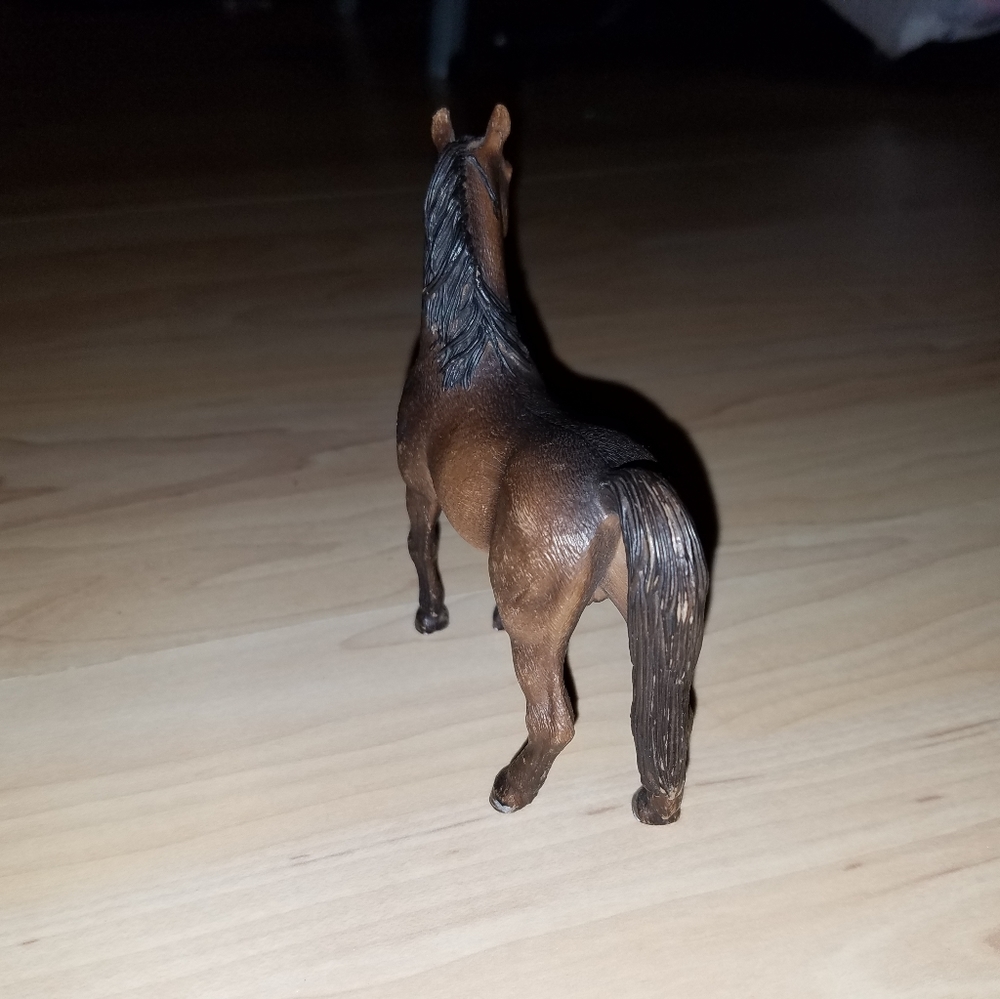 Choco - Picture 3 of 4